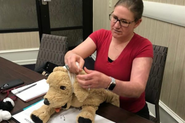 Woman in pet first aid class.