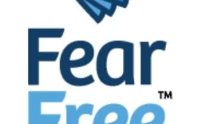 Why Fear Free Matters: A Guide for Kansas City Pet Parents